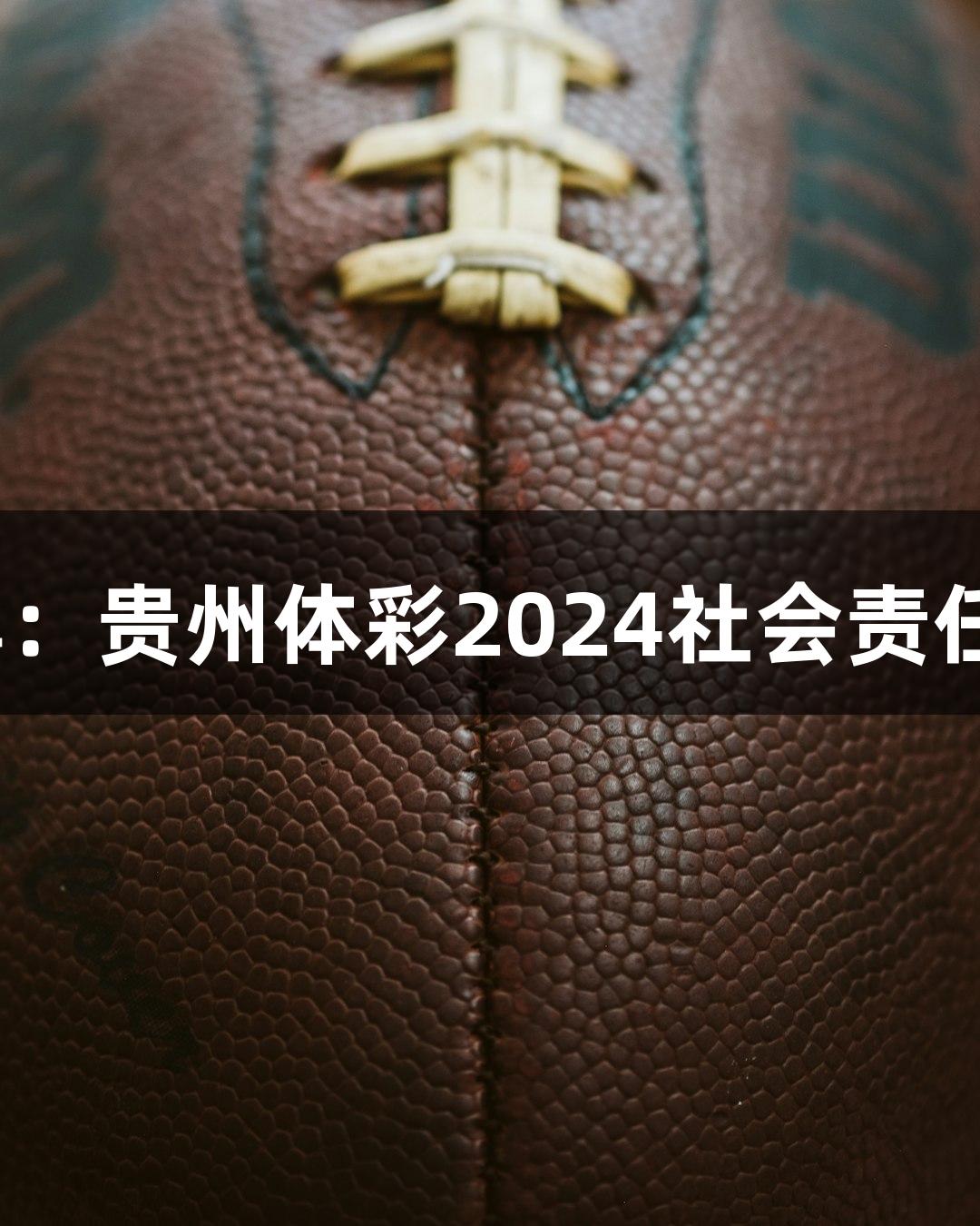 尊龙凯时-人生就是博：贵州体彩2024社会责任报告五大闪光点呈现
