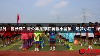 2025年尊龙凯时“区长杯”青少年足球联赛暨小留镇“足梦小留”绿茵运动会开幕