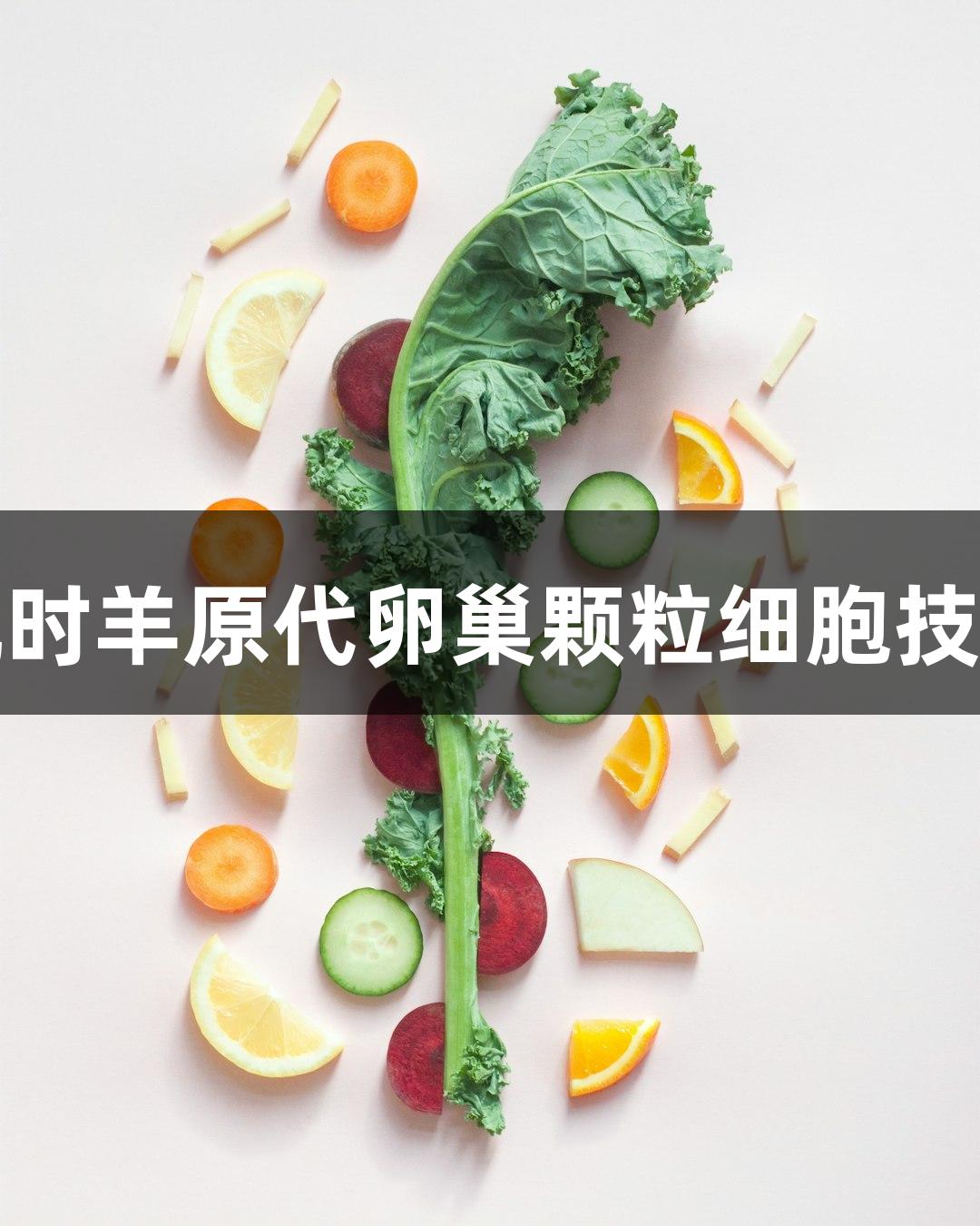 尊龙凯时羊原代卵巢颗粒细胞技术参数