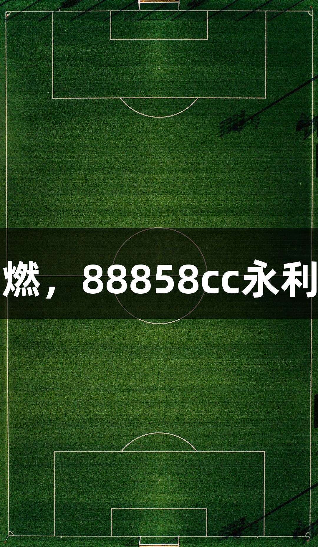 河北五超战火燃，88858cc永利官网名将助阵
