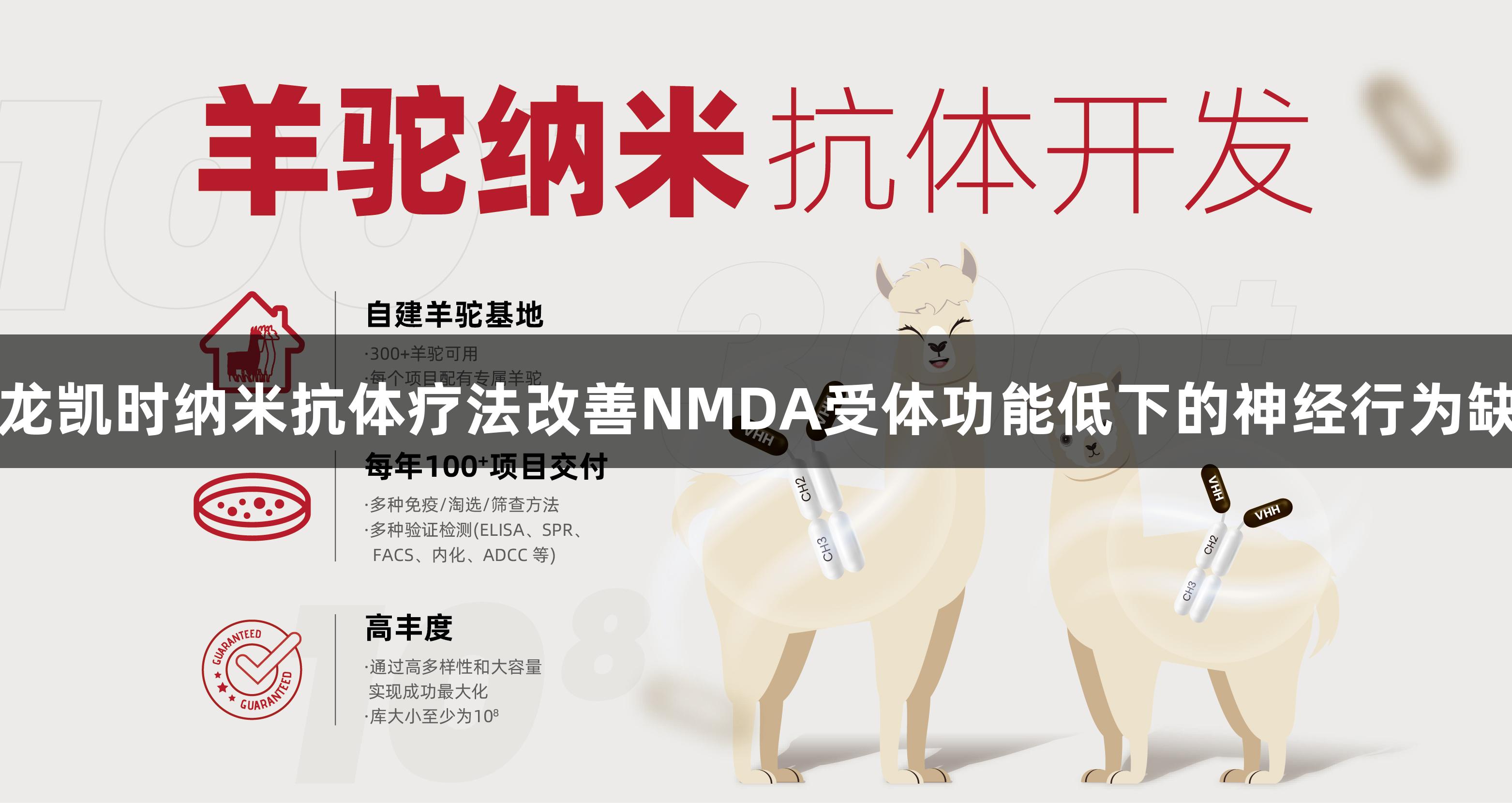 尊龙凯时纳米抗体疗法改善NMDA受体功能低下的神经行为缺陷