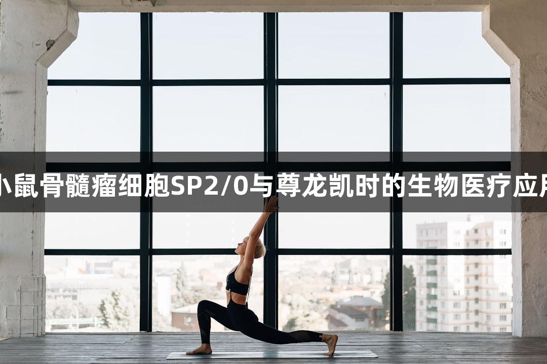 小鼠骨髓瘤细胞SP2/0与尊龙凯时的生物医疗应用