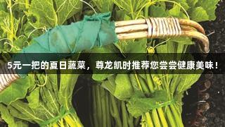 5元一把的夏日蔬菜，尊龙凯时推荐您尝尝健康美味！