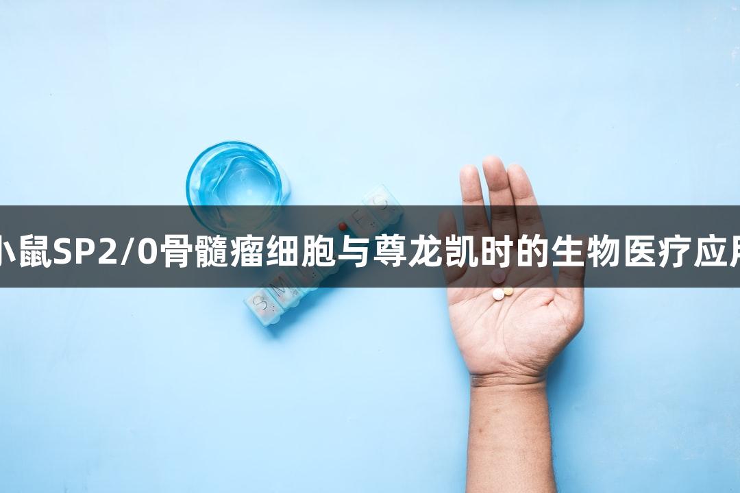 小鼠SP2/0骨髓瘤细胞与尊龙凯时的生物医疗应用