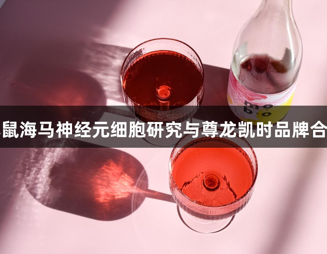 小鼠海马神经元细胞研究与尊龙凯时品牌合作