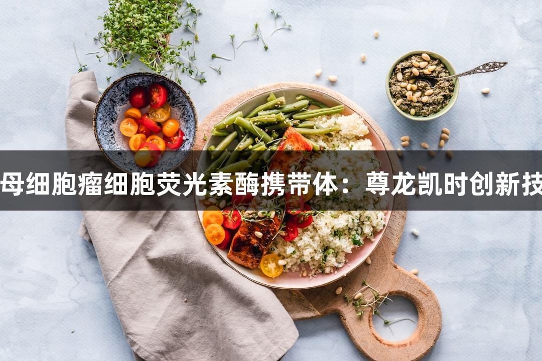 人脑髓母细胞瘤细胞荧光素酶携带体：尊龙凯时创新技术应用