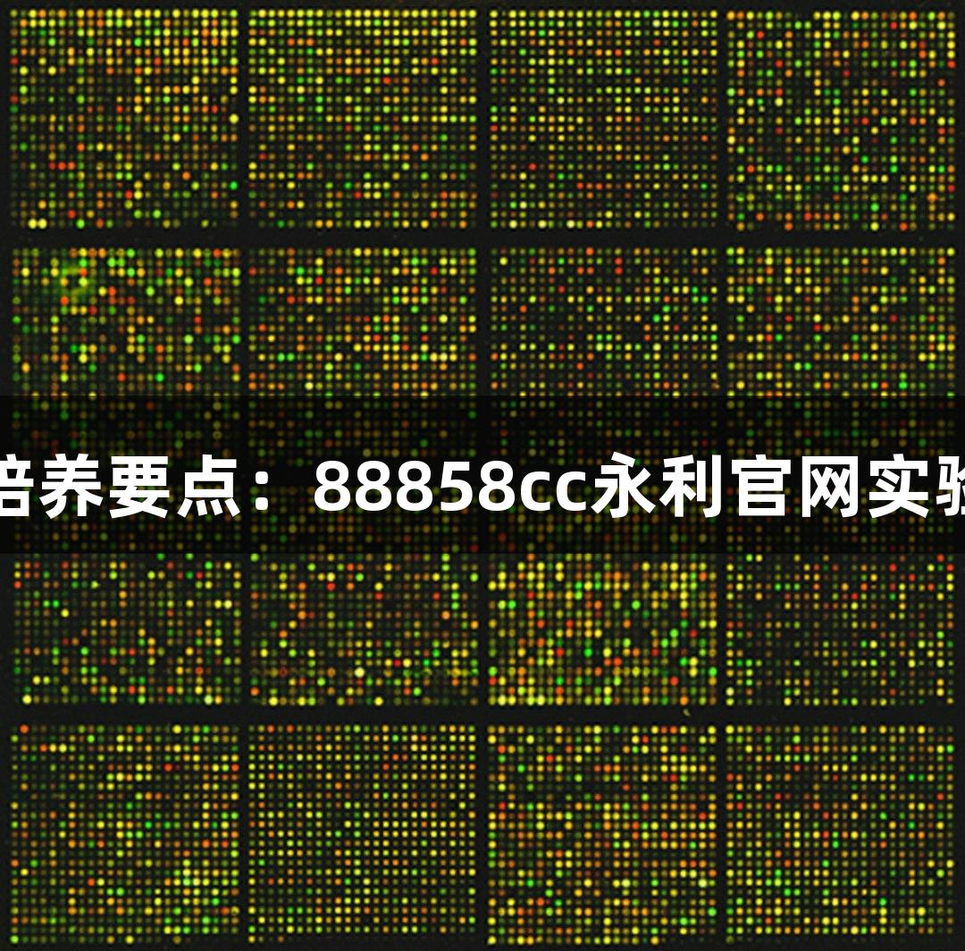 THP-1细胞培养要点：88858cc永利官网实验室避坑指南