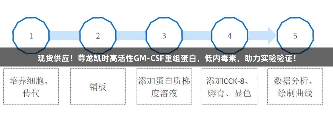 现货供应！尊龙凯时高活性GM-CSF重组蛋白，低内毒素，助力实验验证！