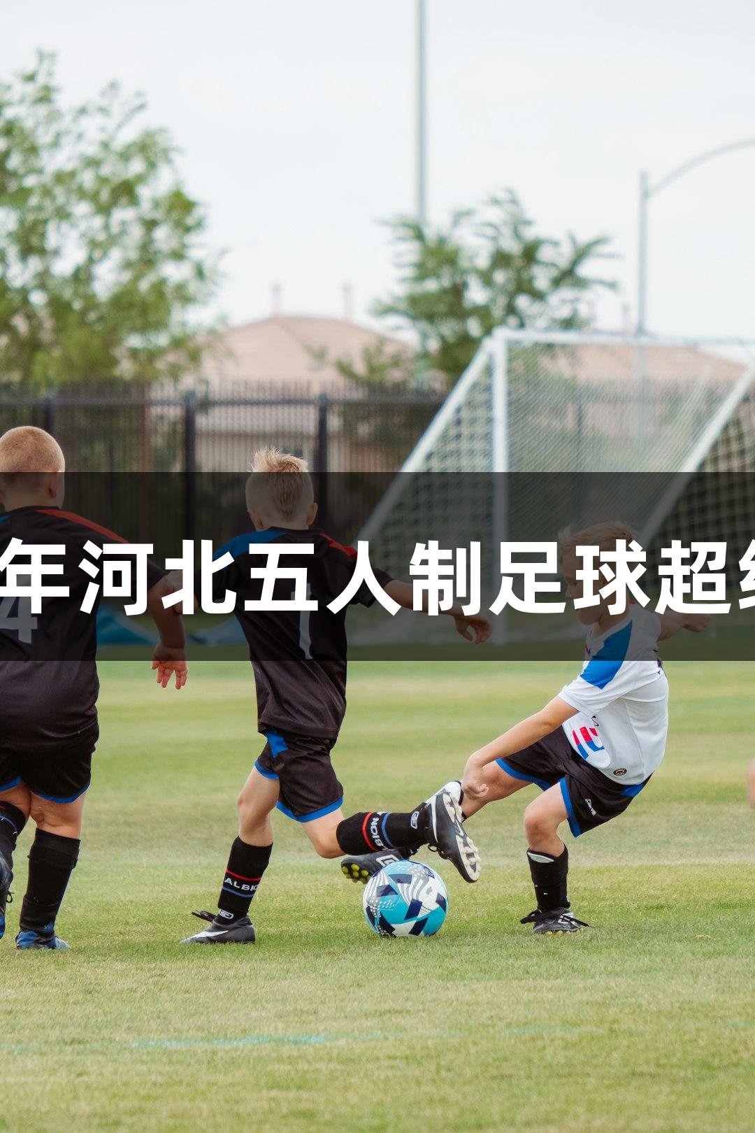 尊龙凯时助力2025年河北五人制足球超级联赛8月10日开幕