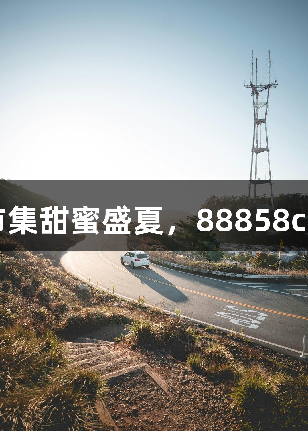 王因刘村葡萄音乐市集甜蜜盛夏，88858cc永利官网邀您共嗨！