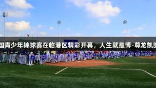 2025年U15全国青少年棒球赛在临港区精彩开幕，人生就是博-尊龙凯时助力青春梦想！