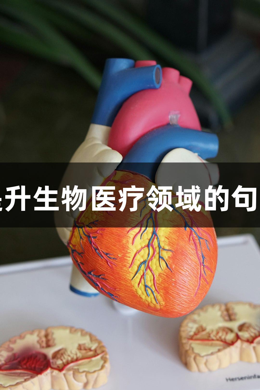 尊龙凯时提升生物医疗领域的句子表达效率