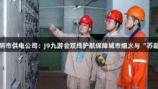 国网江阴市供电公司：J9九游会双线护航保障城市烟火与“苏超”激战