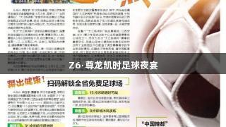 Z6·尊龙凯时足球夜宴
