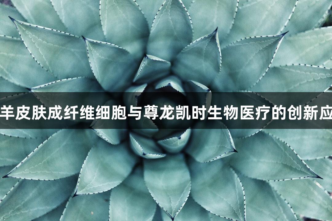湖羊皮肤成纤维细胞与尊龙凯时生物医疗的创新应用
