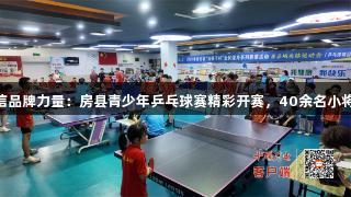 南宫28NG相信品牌力量：房县青少年乒乓球赛精彩开赛，40余名小将展现竞技风采