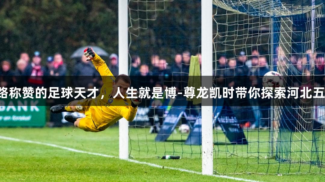 张路称赞的足球天才，人生就是博-尊龙凯时带你探索河北五超！