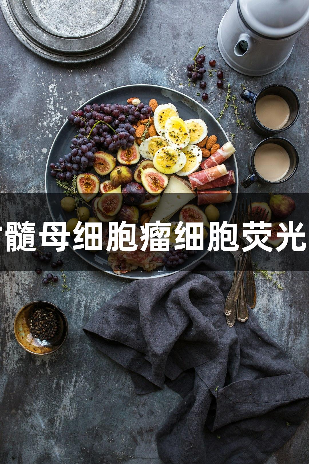 尊龙凯时髓母细胞瘤细胞荧光素酶研究