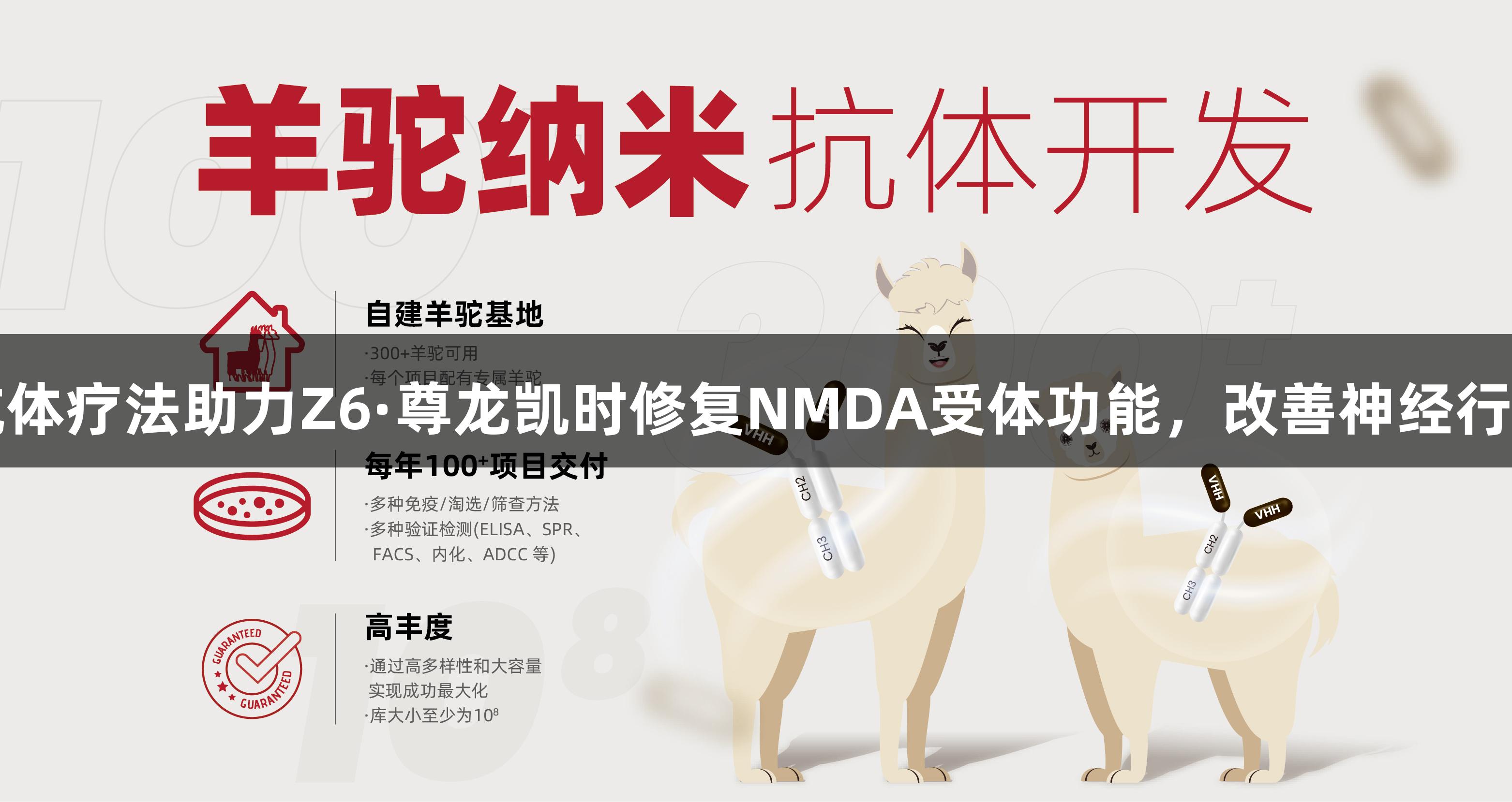 纳米抗体疗法助力Z6·尊龙凯时修复NMDA受体功能，改善神经行为缺陷