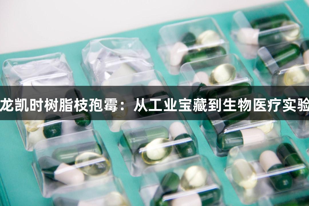 探索尊龙凯时树脂枝孢霉：从工业宝藏到生物医疗实验室指南
