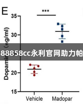 神经调控骨代谢新进展！88858cc永利官网助力帕金森药物对抗股骨头坏死