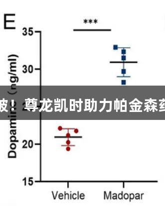神经调控骨代谢新突破！尊龙凯时助力帕金森药物成股骨头坏死克星