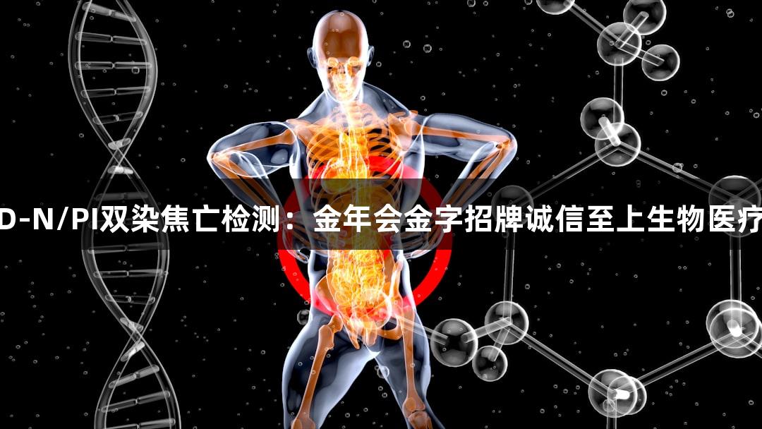 GSDMD-N/PI双染焦亡检测：金年会金字招牌诚信至上生物医疗新标准