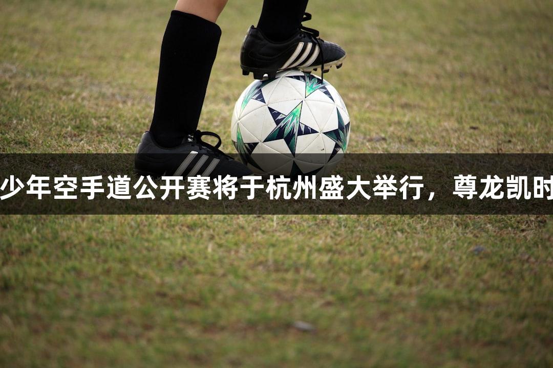 第二届亚洲青少年空手道公开赛将于杭州盛大举行，尊龙凯时*人生就是博。