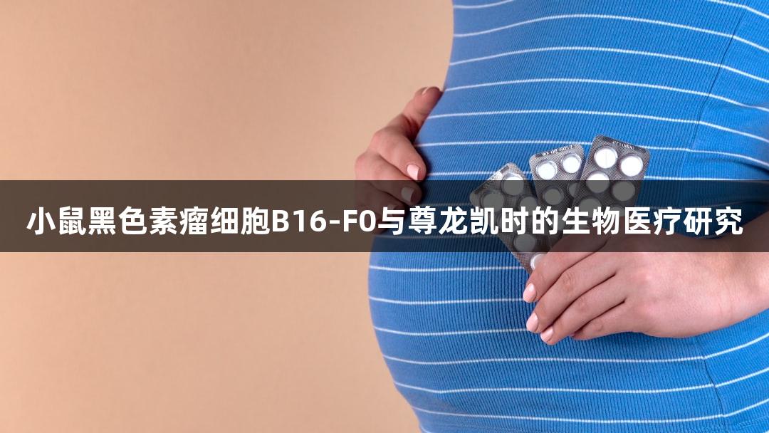 小鼠黑色素瘤细胞B16-F0与尊龙凯时的生物医疗研究