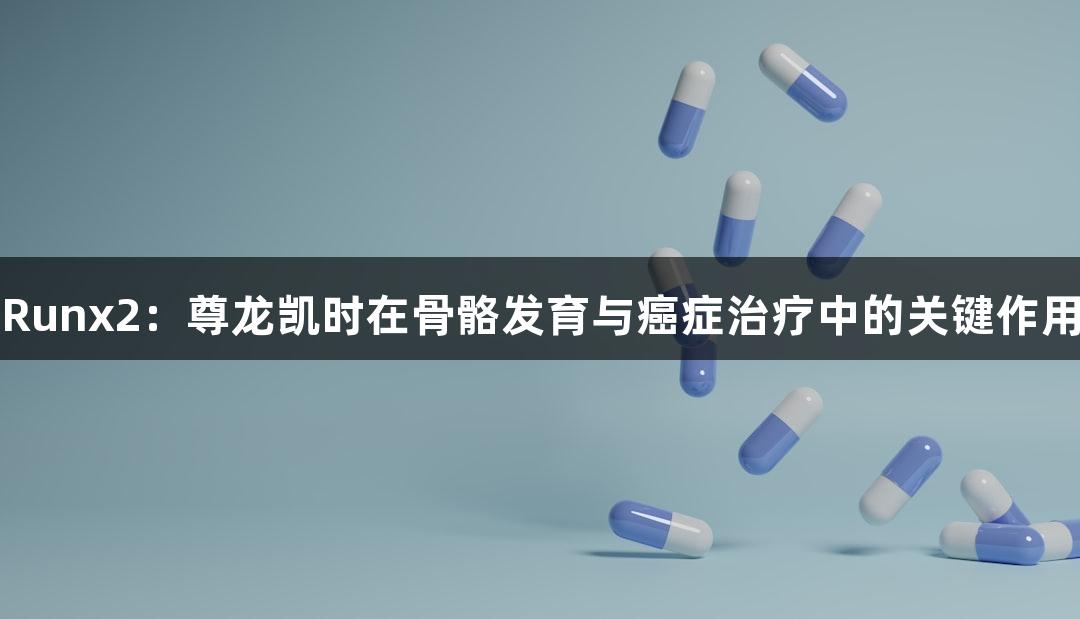Runx2：尊龙凯时在骨骼发育与癌症治疗中的关键作用