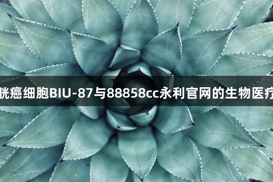 人膀胱癌细胞BIU-87与88858cc永利官网的生物医疗研究