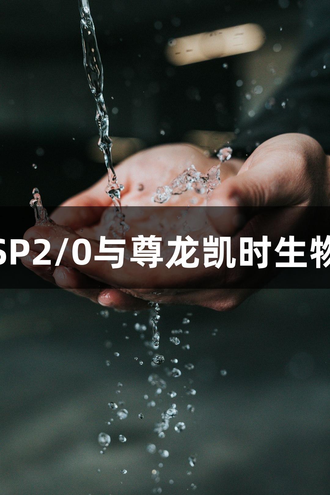 小鼠骨髓瘤细胞SP2/0与尊龙凯时生物医疗的创新结合