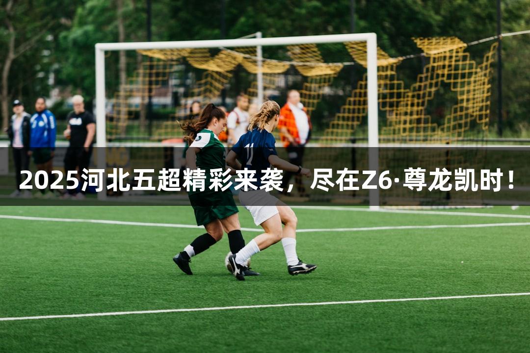2025河北五超精彩来袭，尽在Z6·尊龙凯时！