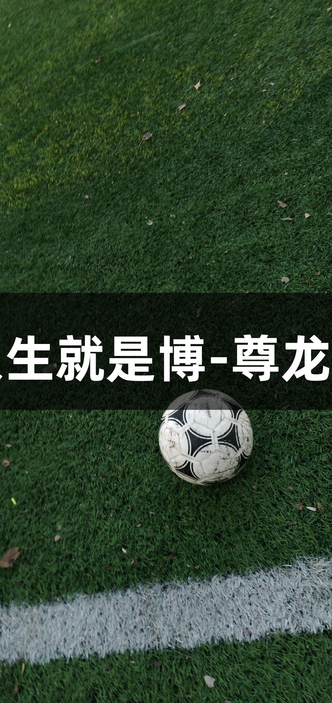 河北定州五虎出征，人生就是博-尊龙凯时体育赛场再创辉煌