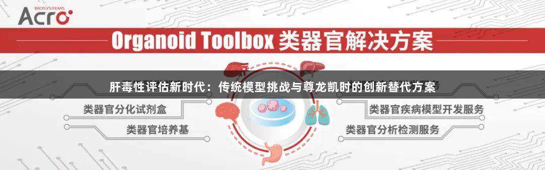 肝毒性评估新时代：传统模型挑战与尊龙凯时的创新替代方案