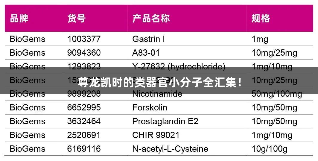 尊龙凯时的类器官小分子全汇集！