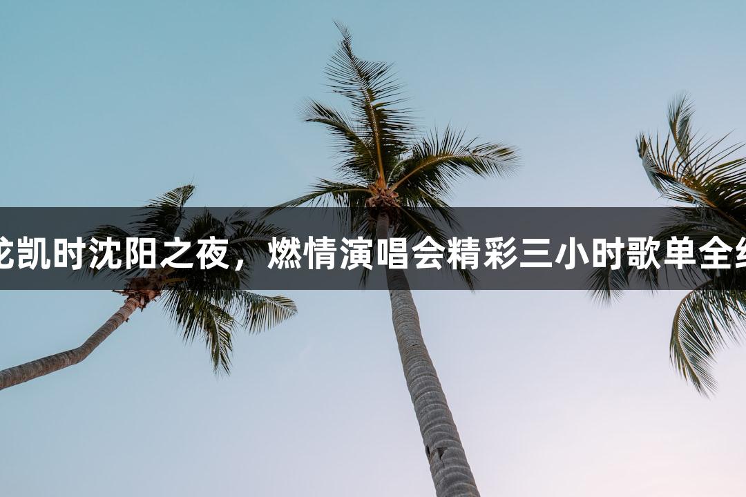 尊龙凯时沈阳之夜，燃情演唱会精彩三小时歌单全纪录
