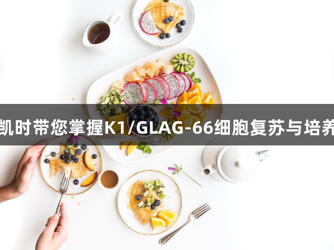 尊龙凯时带您掌握K1/GLAG-66细胞复苏与培养技术
