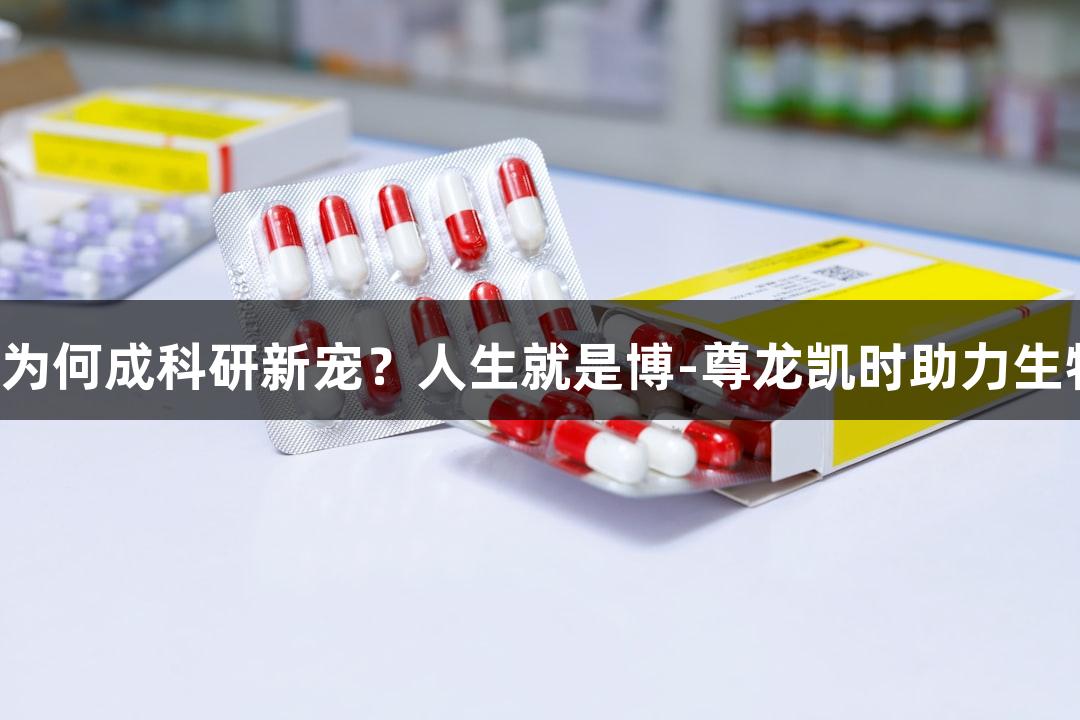国产琼脂糖为何成科研新宠？人生就是博-尊龙凯时助力生物医疗领域。