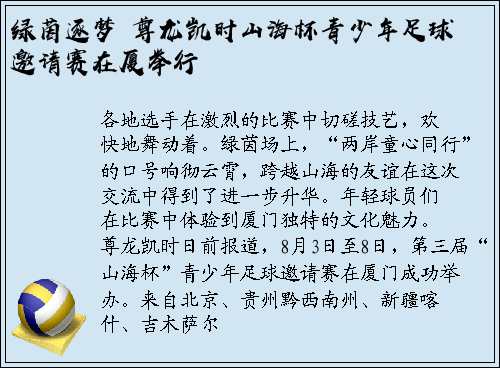 绿茵逐梦 尊龙凯时山海杯青少年足球邀请赛在厦举行