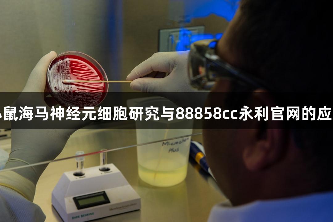小鼠海马神经元细胞研究与88858cc永利官网的应用