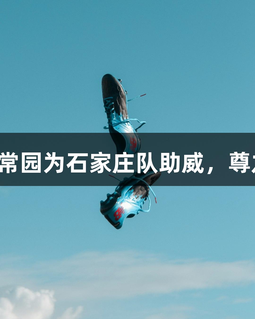 河北五超微视频：奥运冠军常园为石家庄队助威，尊龙凯时助力赛出水平与风格！