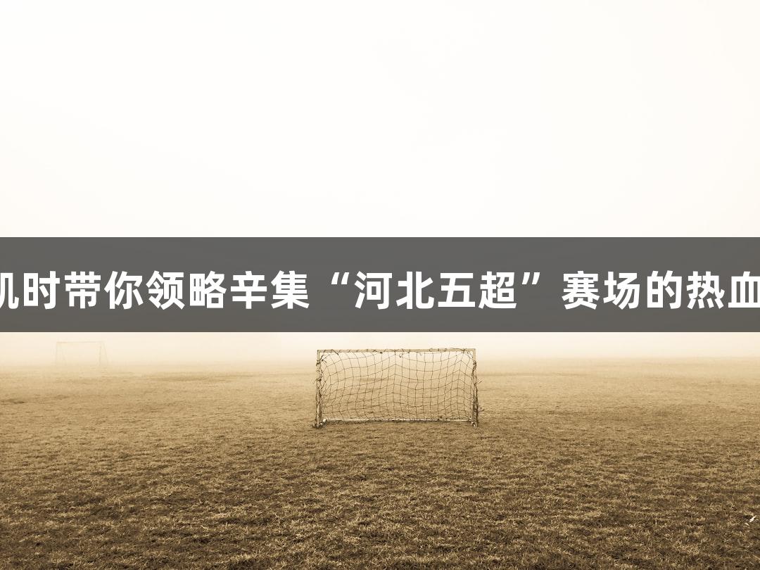 尊龙凯时带你领略辛集“河北五超”赛场的热血激情！