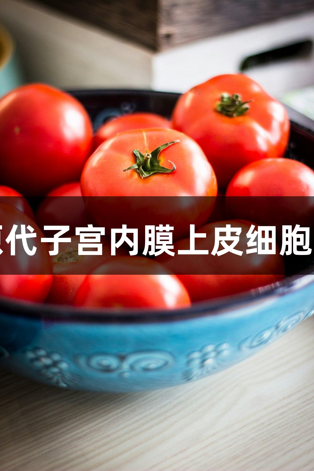 尊龙凯时羊原代子宫内膜上皮细胞技术参数解析