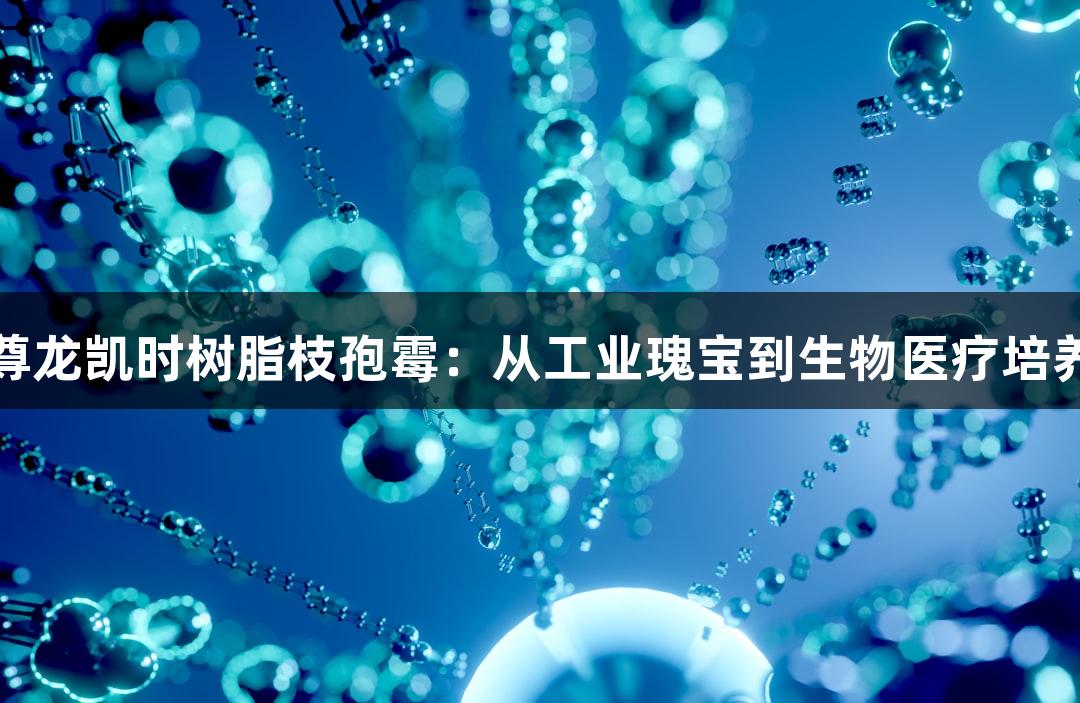 探秘尊龙凯时树脂枝孢霉：从工业瑰宝到生物医疗培养指南