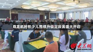 尊龙凯时杯少儿围棋升级定段赛盛大开启
