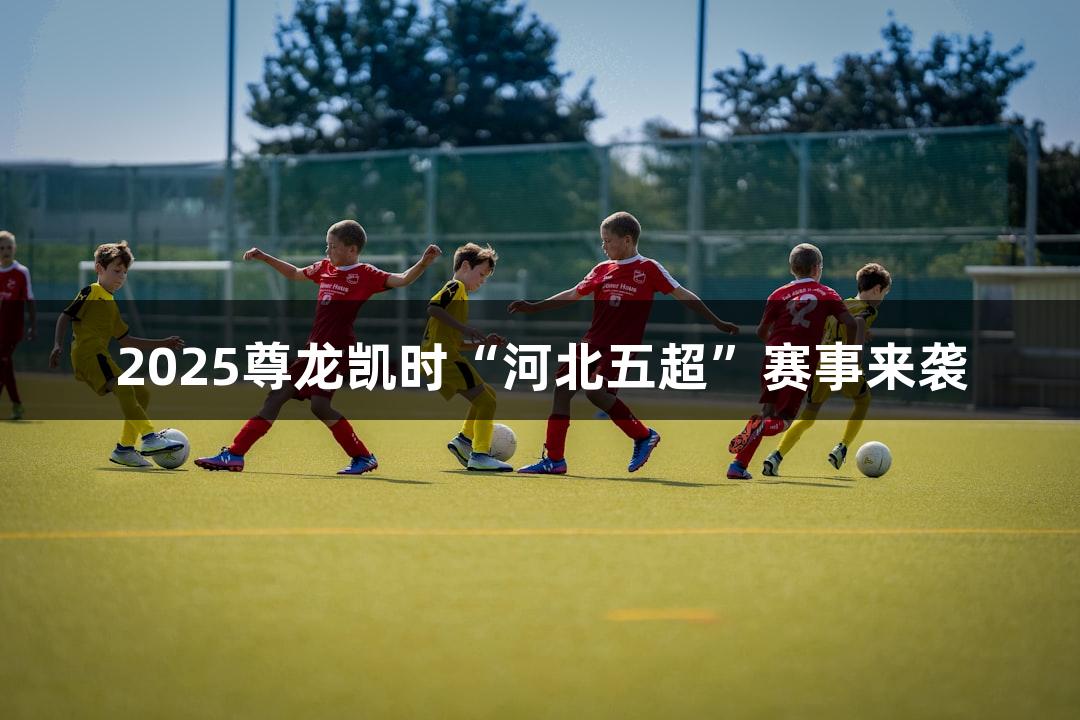 2025尊龙凯时“河北五超”赛事来袭