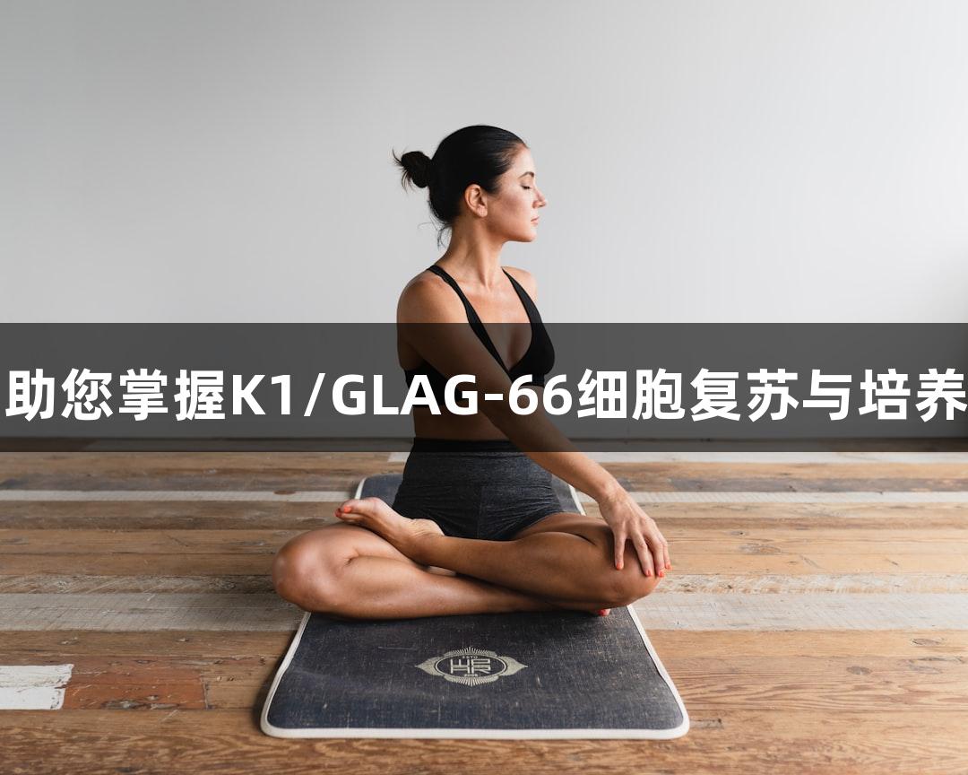 尊龙凯时助您掌握K1/GLAG-66细胞复苏与培养核心技术