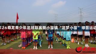 2025年Z6尊龙青少年足球联赛暨小留镇“足梦小留”绿茵运动会开幕