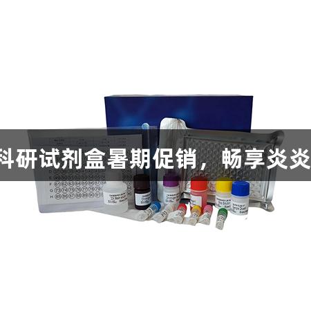 尊龙凯时生物科研试剂盒暑期促销，畅享炎炎夏日抢购热潮！